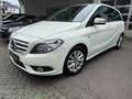 Mercedes-Benz B 200 B-Klasse, PDC v&h Kamera,Navi.,Automatik Alb - thumbnail 1