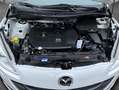 Mazda 5 2.0 MZR-DISI i-stop Sports-Line Navi Xenon Leder Білий - thumbnail 8