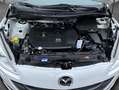 Mazda 5 2.0 MZR-DISI i-stop Sports-Line Navi Xenon Leder Biały - thumbnail 8