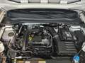 SEAT Leon Style Edition 1.0 eTSI DSG AHK Kessy Sitzhe Weiß - thumbnail 20