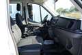 Ford Transit 350-EB Doka L3 + Stdhzg 6-Sitze AHK 3,0T Weiß - thumbnail 12