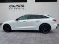 Audi A5 Avant quattro/w-sw/AHK/MMI+/Tech/19 Alb - thumbnail 2
