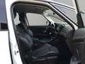 Renault Scenic Blue dCi 120 BOSE Edition Weiß - thumbnail 18