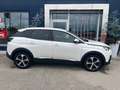 Peugeot 3008 GT Line BHDI130 EAT8 AHK Vor&Rückkamera Weiß - thumbnail 5