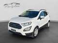 Ford EcoSport 1.5 TDCi 100cv S&S Titanium Wit - thumbnail 3
