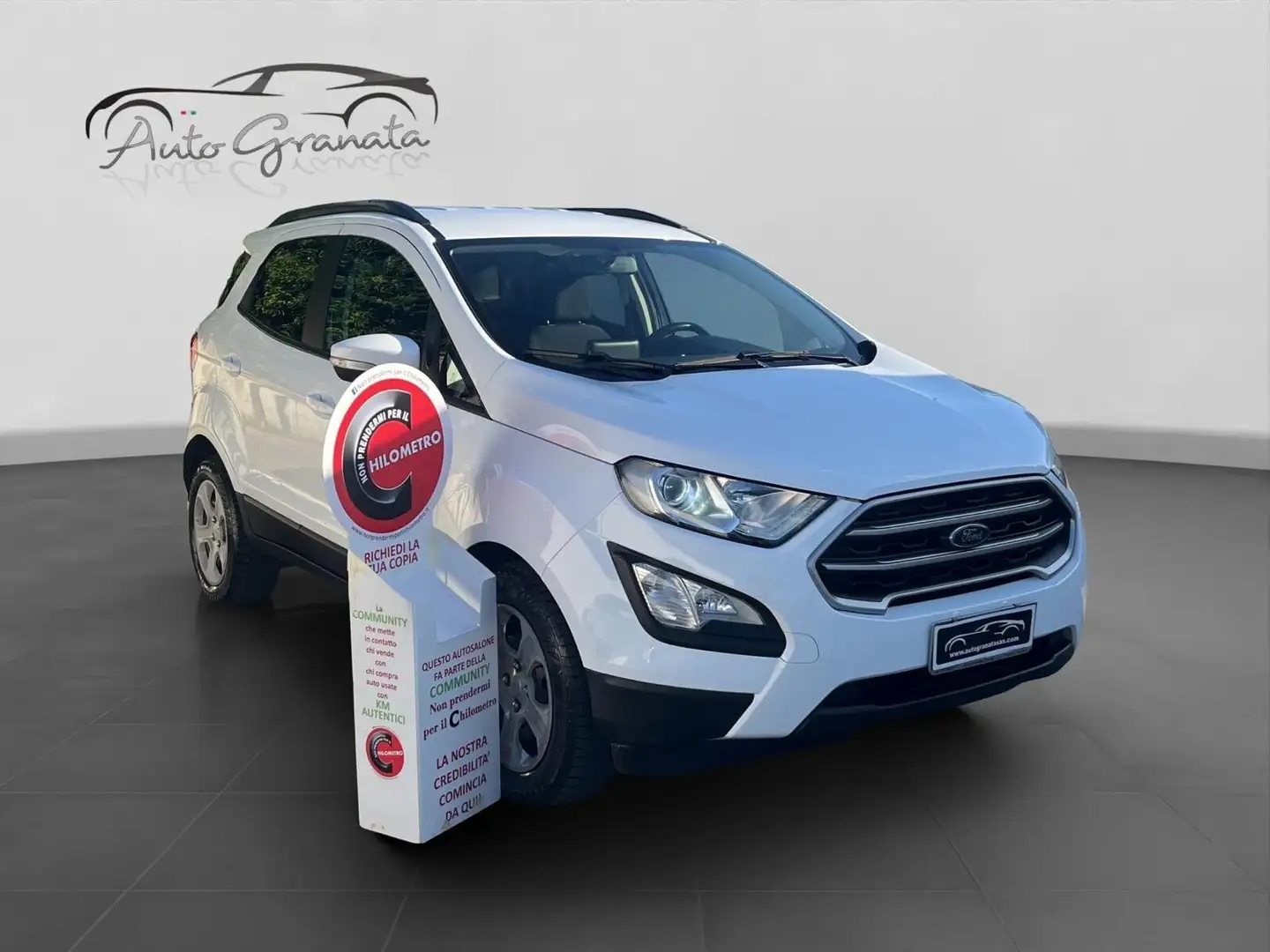 Ford EcoSport 1.5 TDCi 100cv S&S Titanium Wit - 1
