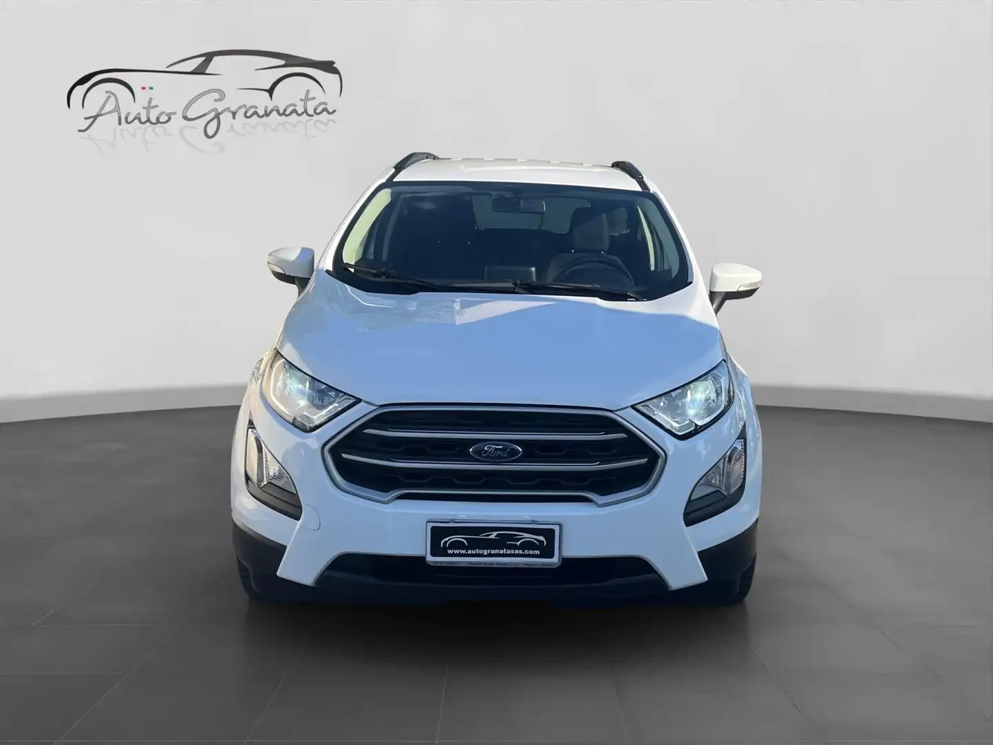 Ford EcoSport 1.5 TDCi 100cv S&S Titanium Wit - 2