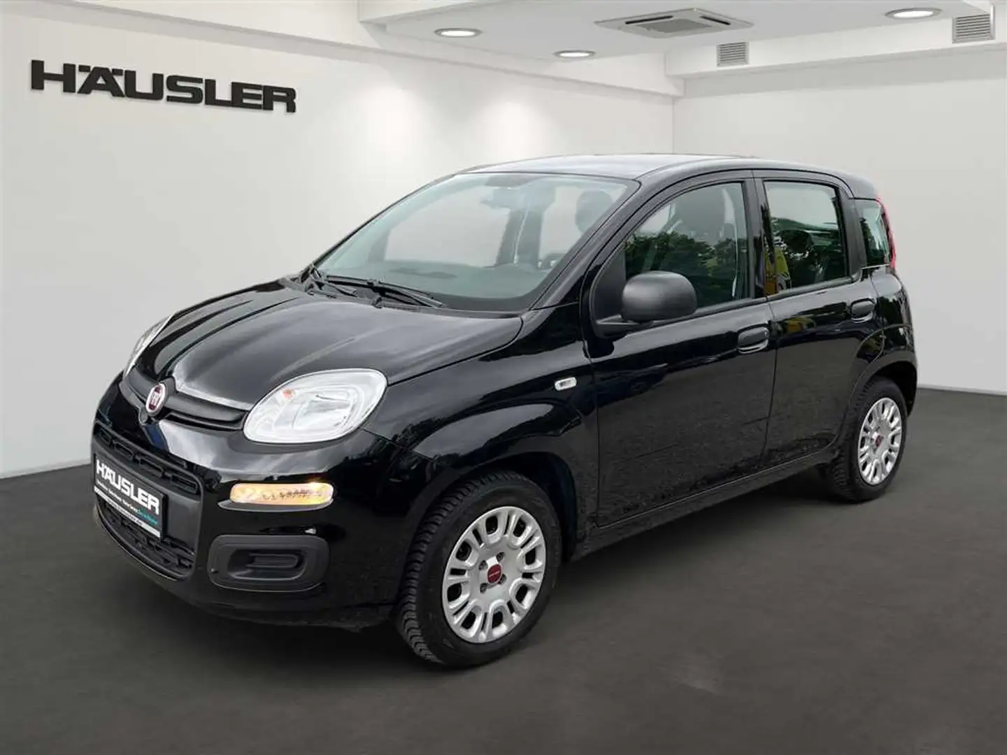 Fiat Panda 1.2 8V Easy mit PDC*Klima Noir - 1