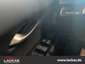 Lexus UX 250h F-SPORT DESIGN*LED*CARPLAY*15J. GARANTIE* Piros - thumbnail 10