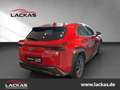 Lexus UX 250h F-SPORT DESIGN*LED*CARPLAY*15J. GARANTIE* Red - thumbnail 4
