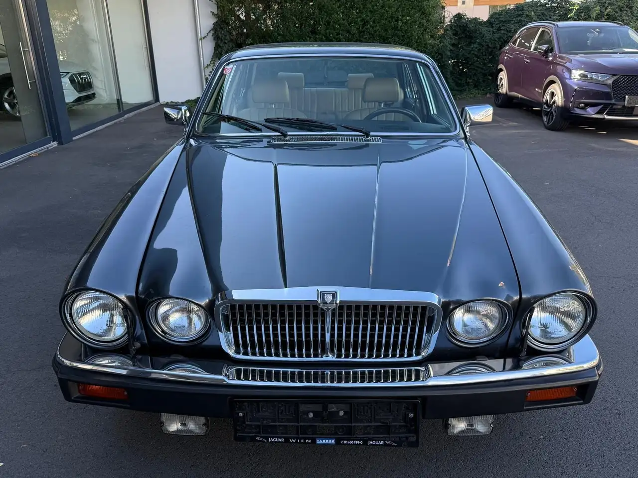 Jaguar XJ12 V12 XJ12 5.3 Serie III DK, foto 4