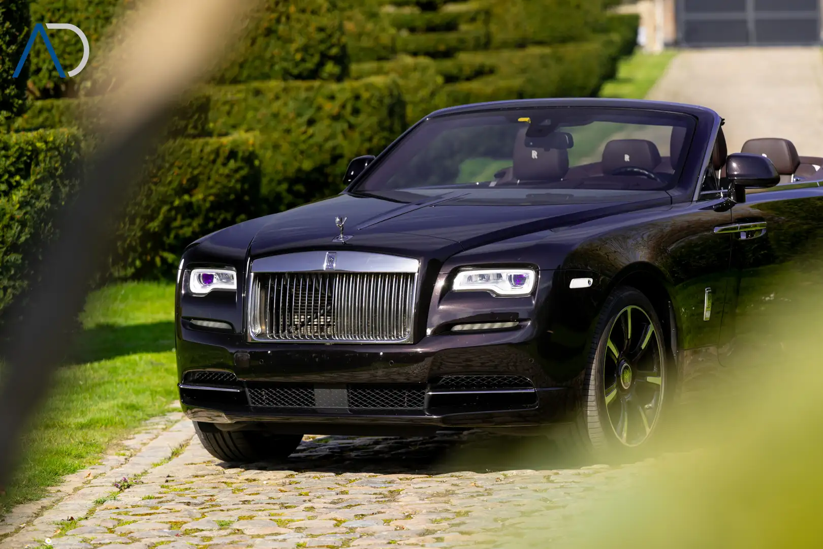 Rolls-Royce Dawn in unique color combination Marrón - 2