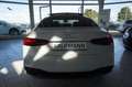 Audi A5 A5 SPORTBACK 40TFSI PANO MATRIX NAVI S-LINE INT. Weiß - thumbnail 5
