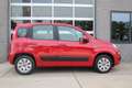 Fiat Panda 0.9 TwinAir Turbo Automaat Edizione Cool slechts 6 Rojo - thumbnail 9
