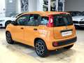 Fiat Panda 1.0 firefly hybrid s&s Arancione - thumbnail 3