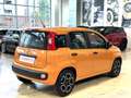 Fiat Panda 1.0 firefly hybrid s&s Arancione - thumbnail 4
