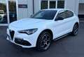 Alfa Romeo Stelvio 2.2 t Veloce Q4 210cv auto PROMO FIN Weiß - thumbnail 1