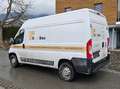 Fiat Ducato 33 L2 / H2 2,3 Diesel Weiß - thumbnail 2