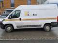 Fiat Ducato 33 L2 / H2 2,3 Diesel Weiß - thumbnail 1