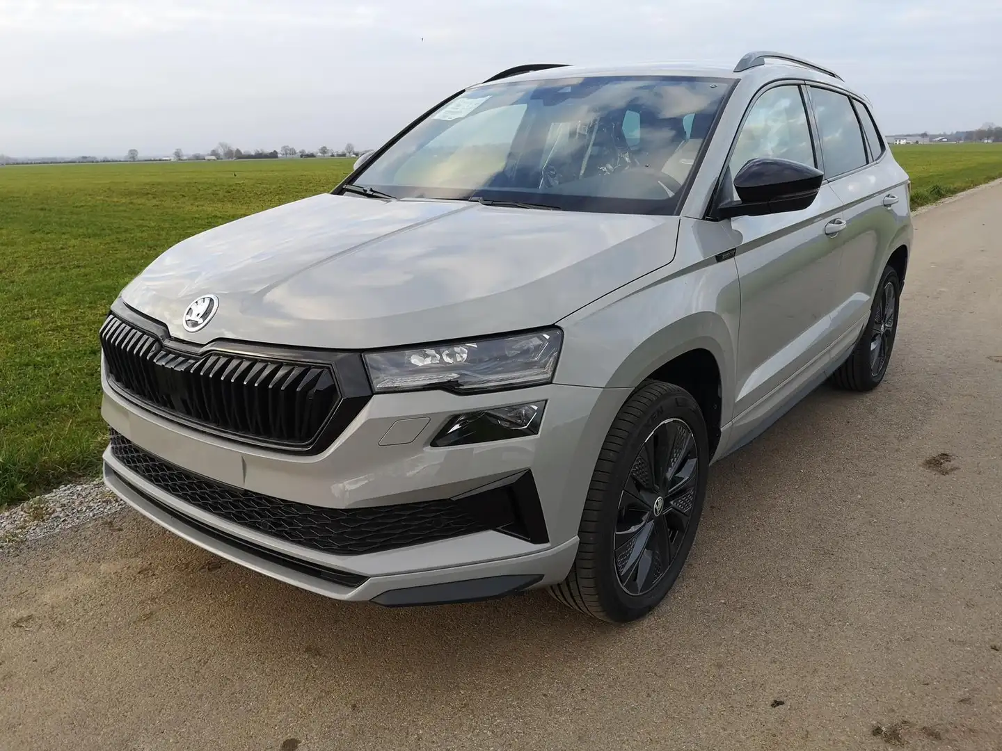 Skoda Karoq Sportline 1.5TSI DSG AHK Matrix ACC Navi 140 kW... Grau - 1