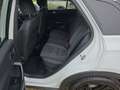 Volkswagen T-Roc R-Line Weiß - thumbnail 10