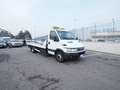 Iveco Daily 65C/60  - ROLFO SM2 N2** Weiß - thumbnail 3