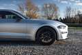 Ford Mustang Fastback 2.3 EcoBoost Aut. Gris - thumbnail 13