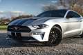 Ford Mustang Fastback 2.3 EcoBoost Aut. Gris - thumbnail 6