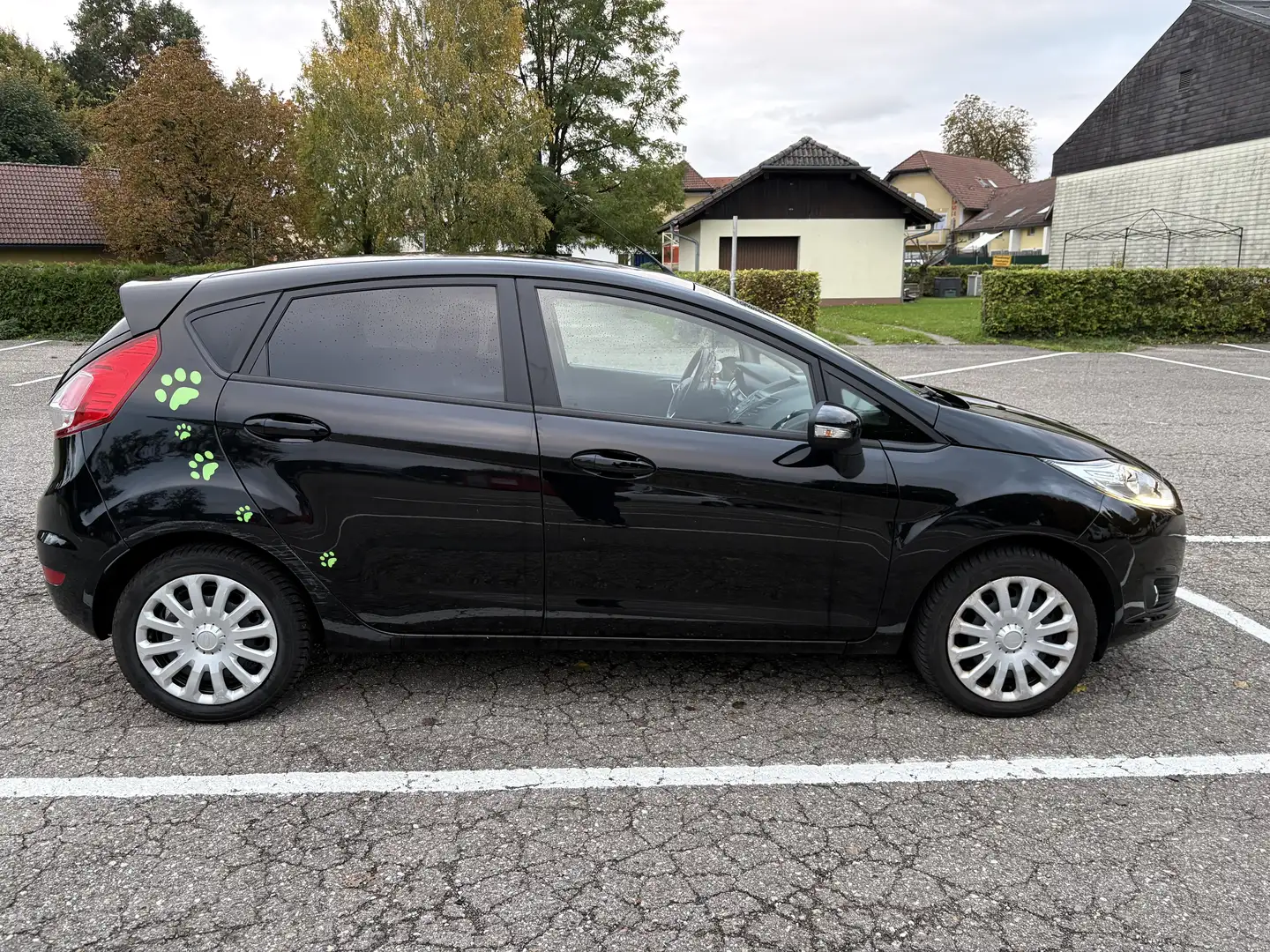 Ford Fiesta Trend 1,25 - 2