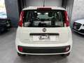 Fiat Panda 0.9 t.air natural power 86cv NEOPATENTATI Blanc - thumbnail 5
