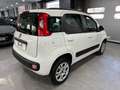 Fiat Panda 0.9 t.air natural power 86cv NEOPATENTATI Blanco - thumbnail 6