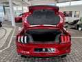 Ford Mustang GT Aut.Cabrio Motor neu mit Garantie Rot - thumbnail 19