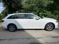 Audi A4 A4 Avant 2.0 TDI Weiß - thumbnail 2