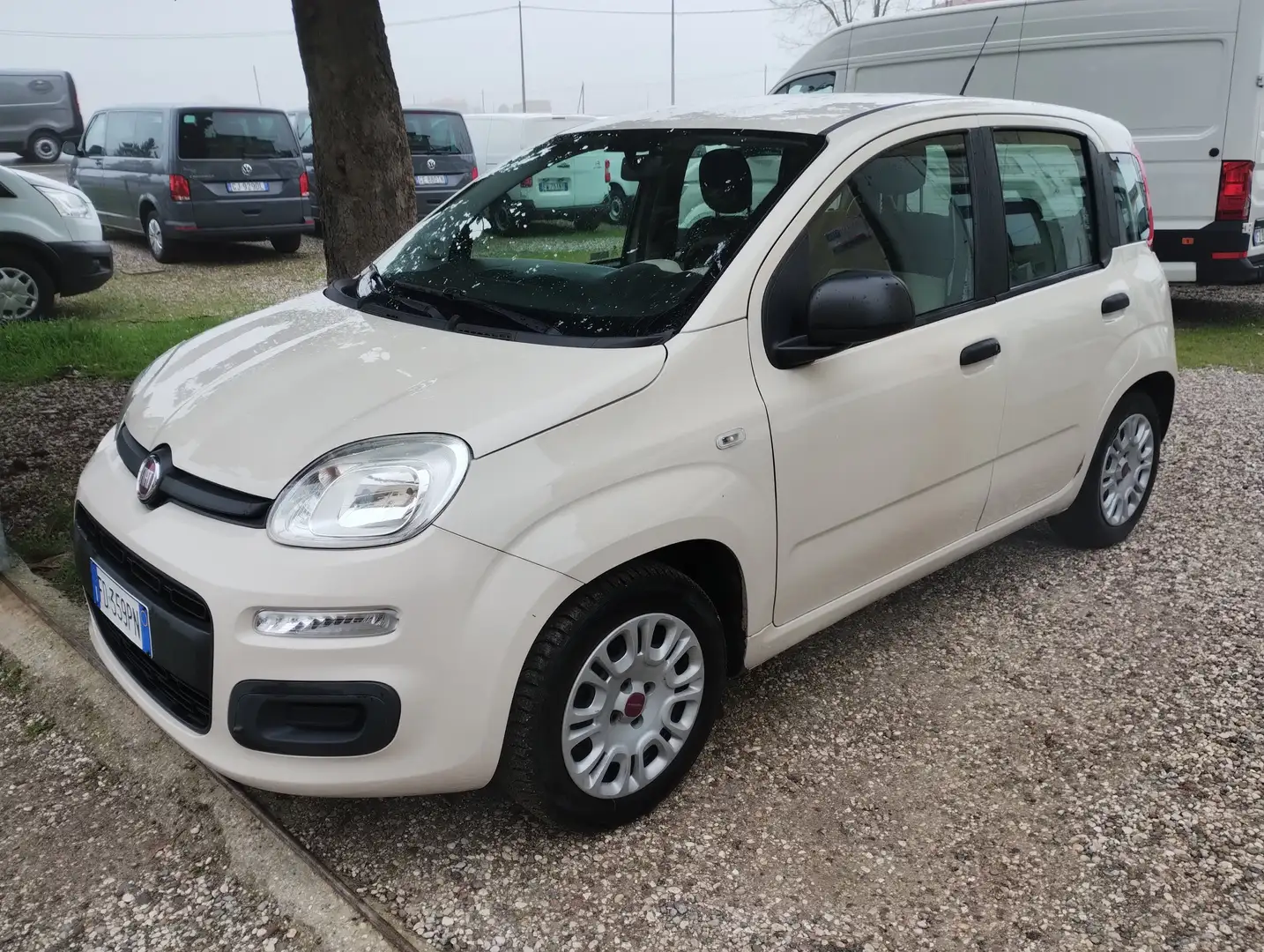 Fiat Panda Panda 1.2 easypower Easy Gpl 69cv E6 Beige - 2