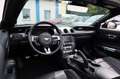 Ford Mustang V8 GT Convertible/B&O/Sitzkühl./ACC/Magn Noir - thumbnail 15