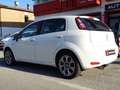 Fiat Punto Evo 1.4GPL SPORT PREZZO VALIDO FINO 13.12,GARANZIA Blanco - thumbnail 5
