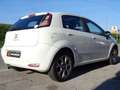 Fiat Punto Evo 1.4GPL SPORT PREZZO VALIDO FINO 13.12,GARANZIA Blanco - thumbnail 4