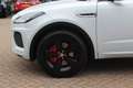 Jaguar E-Pace 2.0 P250 AWD SE / Panoramadak / Camera / Head-up / Wit - thumbnail 14