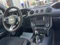 Ford Mustang 2.3 ECOBOOST MANUALE - thumbnail 14