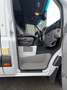 Mercedes-Benz Sprinter 316 (Stock ID 48733) Wit - thumbnail 14
