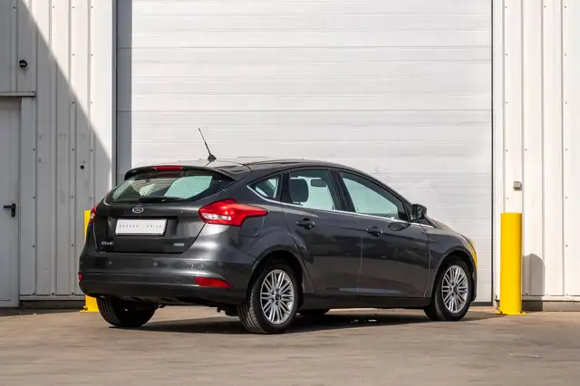 Ford Focus view 5