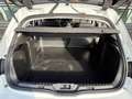 Renault Megane IV SOCIETE BLUE DCI 95 AIR Blanc - thumbnail 8