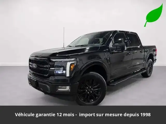 Ford Sonstige