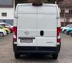 Opel Movano 35 L3H2 BlueHDI 140*Spurhalte*Kamera*Tempomat*MwSt Weiß - thumbnail 6