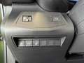 Citroen Berlingo 1.5 BlueHDi 130 FAP Max Navi Kamera Grün - thumbnail 16