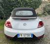 Volkswagen Maggiolino Cabrio 2.0 tsi Sport 220cv dsg - thumbnail 4