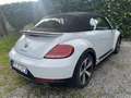 Volkswagen Maggiolino Cabrio 2.0 tsi Sport 220cv dsg - thumbnail 3