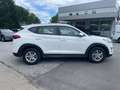 Hyundai TUCSON Allrad Diesel Weiß - thumbnail 7