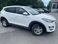 Hyundai TUCSON Allrad Diesel Weiß - thumbnail 4