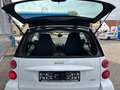 smart forTwo fortwo coupe Micro Hybrid Drive 45kW Weiß - thumbnail 9